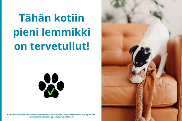 kohdekuva