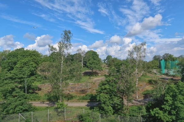 kohdekuva