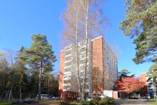 kohdekuva