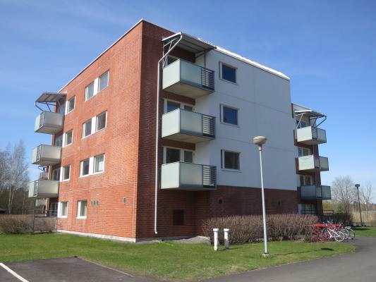 kohdekuva
