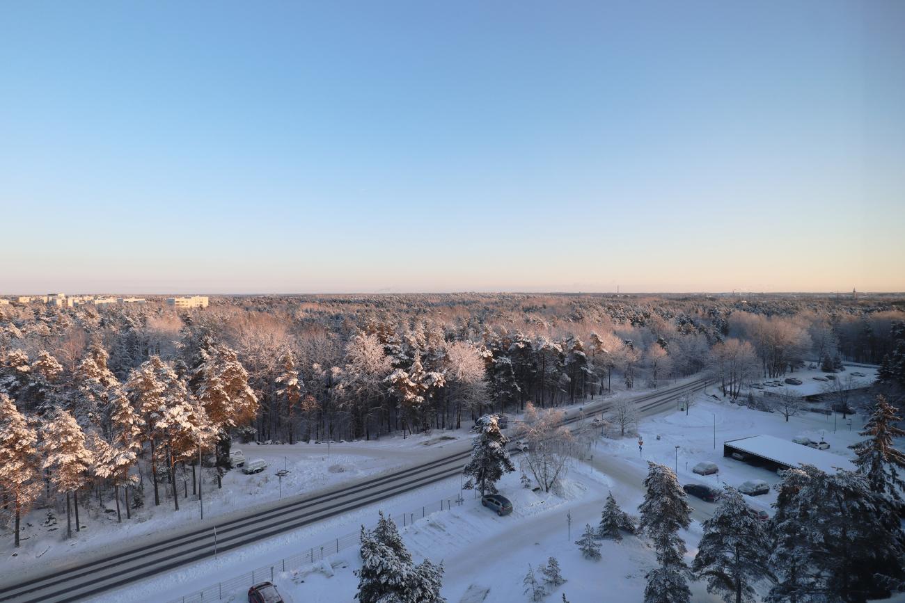 kohdekuva