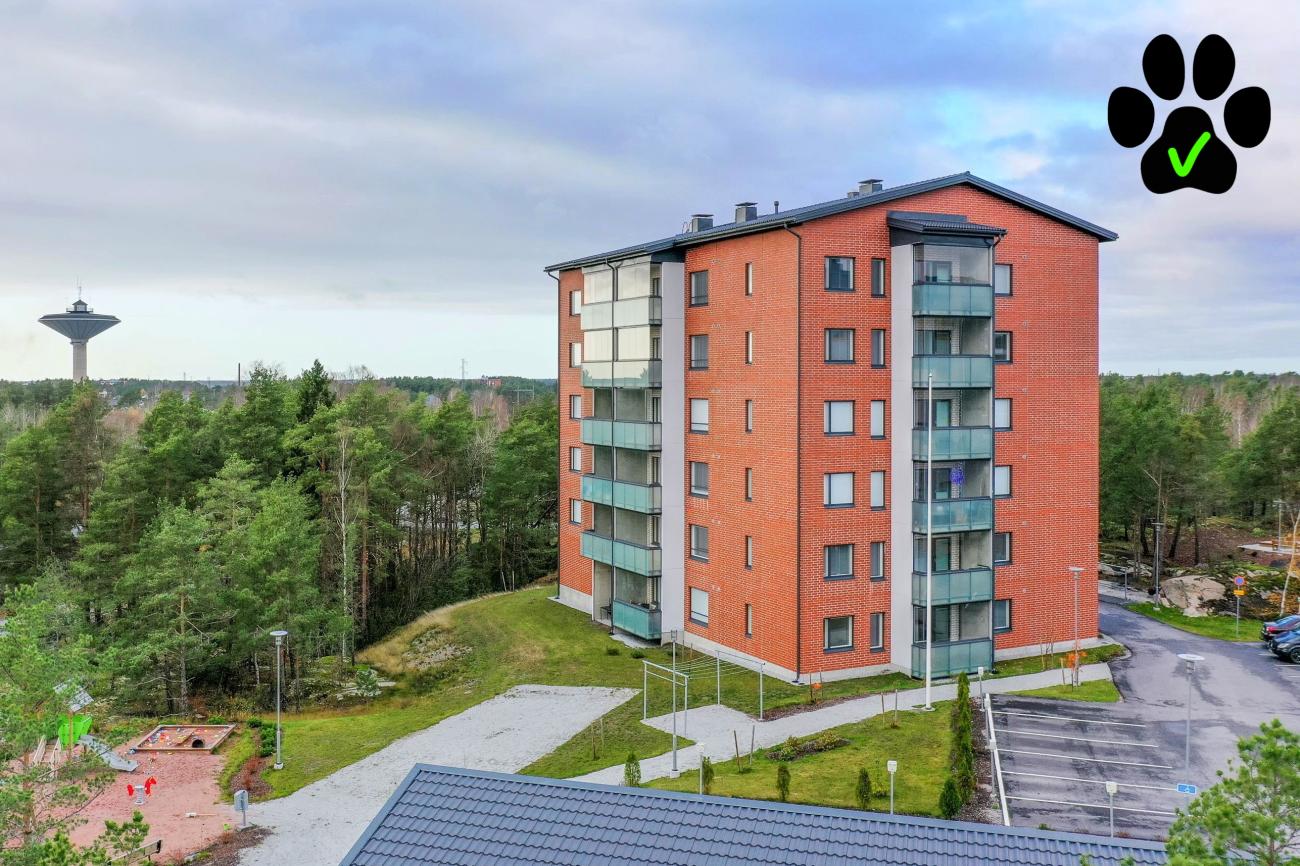 kohdekuva