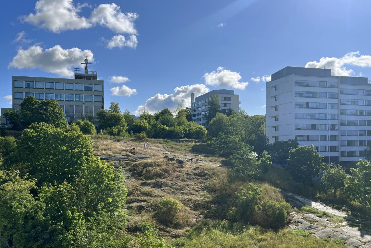 kohdekuva