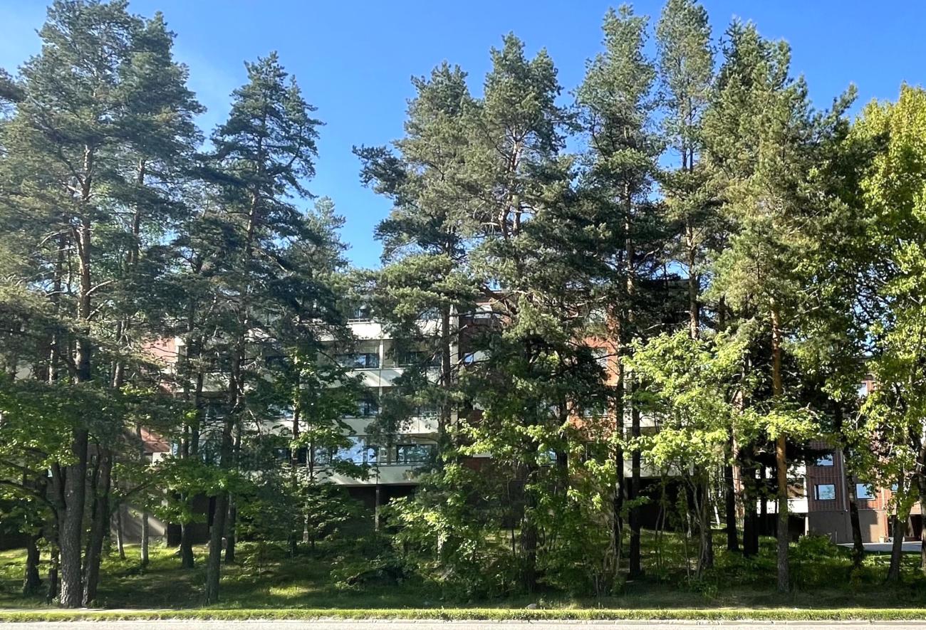 kohdekuva