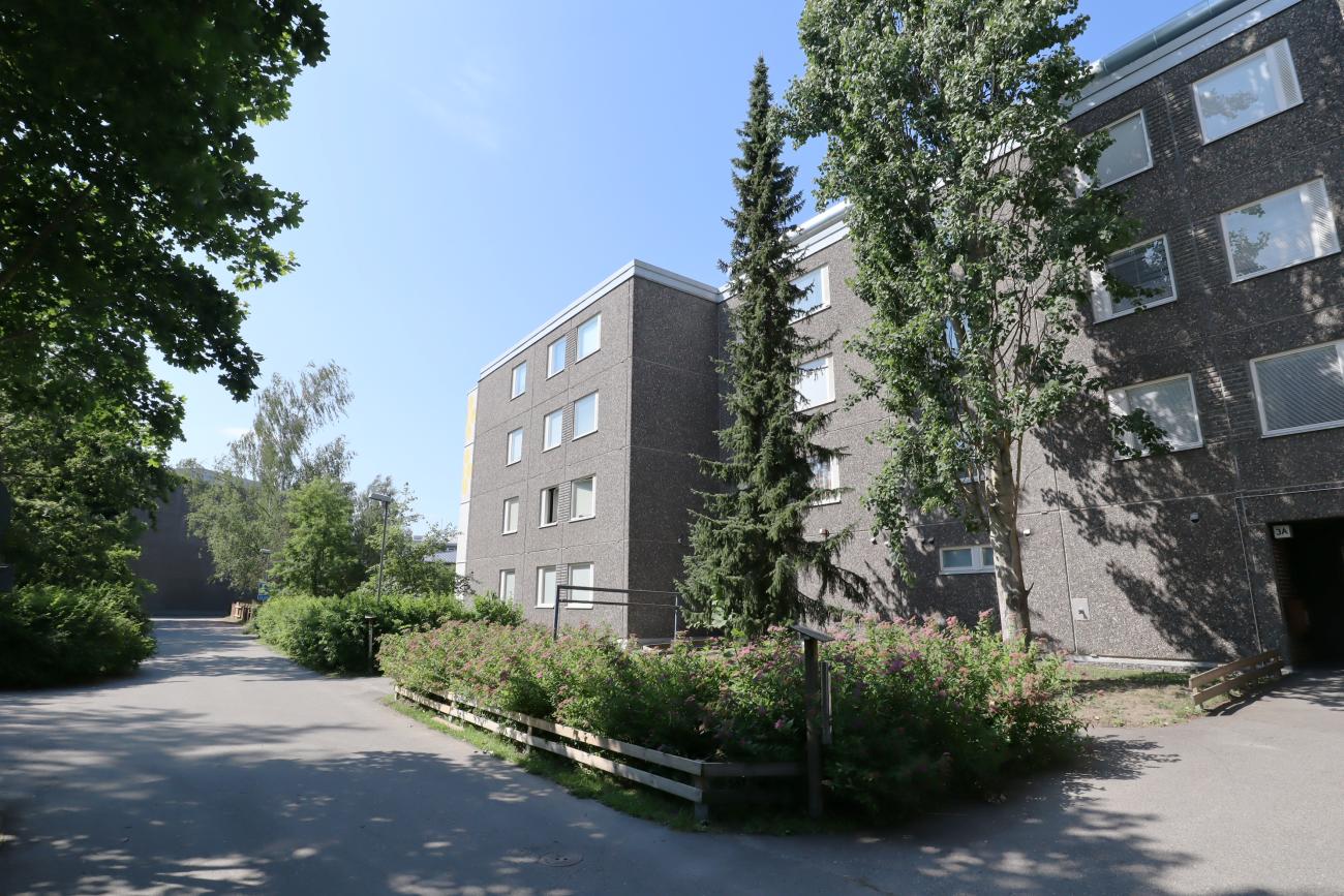 kohdekuva
