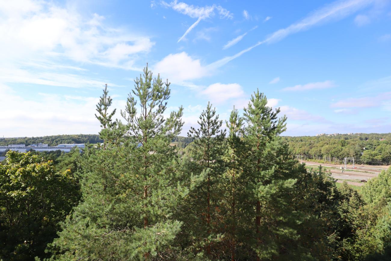 kohdekuva