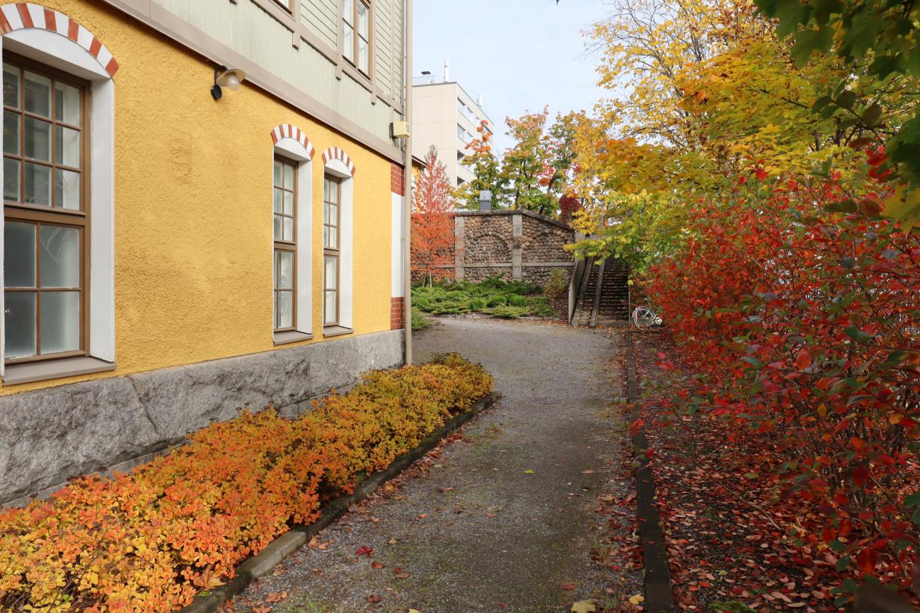 kohdekuva